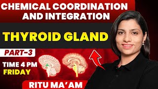 Thyroid Gland  Chemical Coordination and Integration Detailed class 03  Ritu Rattewal [upl. by Corkhill594]