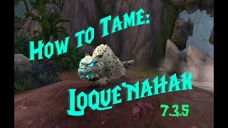 How to Tame Loquenahak Hunter Spirit Beast Patch 735  WoW [upl. by Ahsiet]