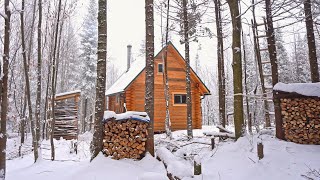 Building A Log Cabin  Ep 65  Finally a cozy place to relax in a snowstorm Winter Cabin Life [upl. by Macintyre448]