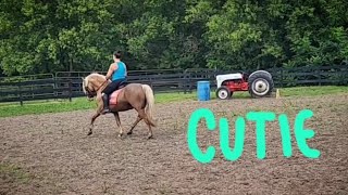 Winterlake Tristan schooling 💙🦄⭐️ [upl. by Emmaline550]