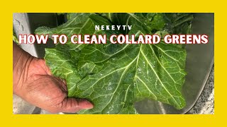 How to Clean Collard Greens [upl. by Ramej973]