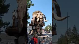 Sprayed by an elephant nantes france travel europe [upl. by Elston909]