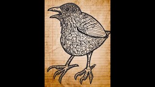 Lyalls Wren Song [upl. by Aihsein]