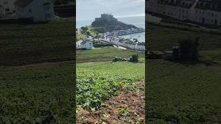 Jersey Royal potato harvest begins  farming potatoes jersey [upl. by Chere]