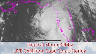 Tropical Storm Debby LIVE CAM from Cape Coral Florida [upl. by Clementina]