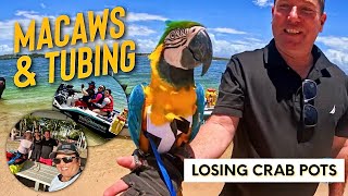 EP54  Macaws and Tubing at Bribie Island [upl. by Skip]