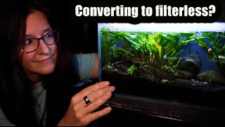 Converting a Tiny Tank to Filterless NO TECH [upl. by Stryker172]