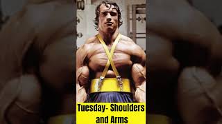 Arnold Schwarzenegger workout routine [upl. by Eilloh814]