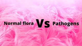 Normal flora Vs pathogens [upl. by Pickett379]