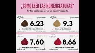 COLORIMETRÍA BÁSICA quotAPRENDE A ESCOGER CORRECTAMENTE TU TINTE PARA CABELLOquot [upl. by Nellahs]