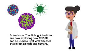 Using CRISPR at Pirbright [upl. by Hallie]