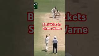 Shane Warne The Best Wickets [upl. by Kirat]