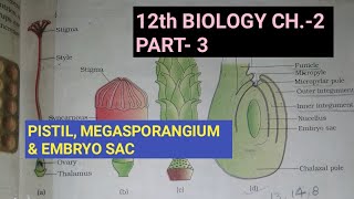 Class 12 biology chapter2 Part3 Pistil megasporangium and embryo sacStudy with FARRU [upl. by Viva]