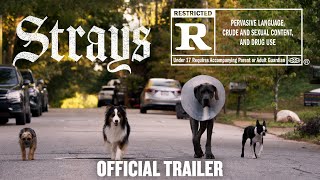 Strays  Official Fing Trailer HD [upl. by Ahsaet]