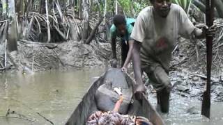 fishing  Asmat Papua [upl. by Kina]