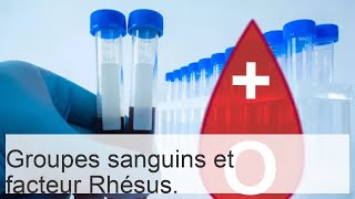 Quels sont les groupes sanguins  questce que le sang la classification des groupes et des Rhésu [upl. by Arella]