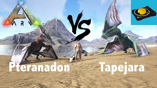 Ark Insight  Pteranodon VS Tapejara [upl. by Doehne]