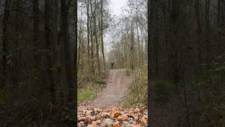 Solo Session’s at Philips mtb mtbsends mtbdrops bornformtb mountainbike gopro [upl. by Aleusnoc]