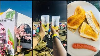 Messy Vlog  Gin Festival  Breakfast [upl. by Hendry920]