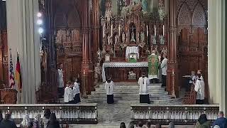 Holy Mass  22nd Sunday after Pentecost [upl. by Gollin]