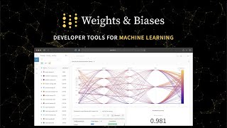 Weights and Biases Product Overview [upl. by Leroi907]