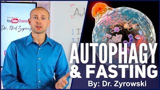 Autophagy And Fasting  Your Health Depends On It [upl. by Adnyc]