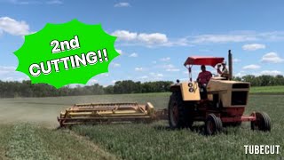 2nd cutting on our new alfalfa fieldfull video [upl. by Bhayani]