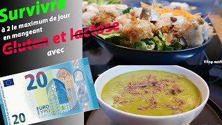 SURVIVRE LE PLUS POSSIBLE A 2 AVEC 20€ sans gluten ni lactose retour de courseidée repas vlog13 [upl. by Eilrak]