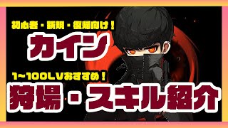 【メイプルストーリー】カイン大事なスキルを解説おすすめ狩場も紹介 [upl. by Nostets]