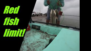 Fishing Corpus Christi Nueces back bay marsh REDFISH FEEDING FRENZY [upl. by Asta]