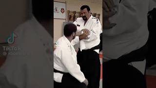 Steven Seagal Aikido master amazing skills martial arts extreme stunts strongman Kung Fu wushu [upl. by Ahsikal951]