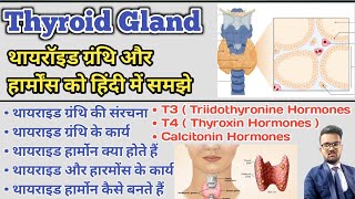 Thyroid Gland in hindi  Thyroid Hormones  T3  T4  Thyroxin Hormones  Thyroid Profile Test [upl. by Ojadnama564]