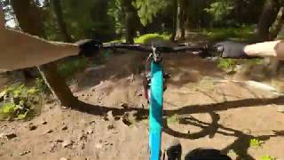 Bikepark Hahnenklee Roots [upl. by Nyllek146]