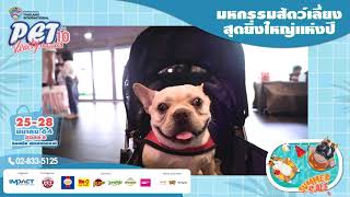 SmartHeart presents Thailand International Pet Variety Exhibition 2021 [upl. by Nylatsyrk]