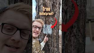 50 BMG Vs Tree Bulletproof Test [upl. by Airlia912]