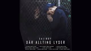 Saliboy  Album DÄR ALLTING LYSER [upl. by Eiznik]