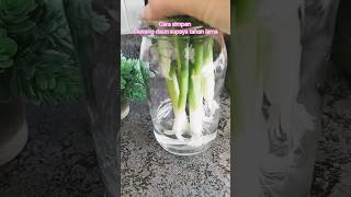 Cara praktis simpan bawang daun supaya tahan lama josedailylife oignons bawangdaun onion [upl. by Vinnie]