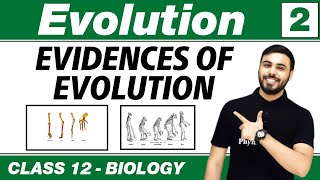 Evolution 02  Evidences of Evolution  Class 12 NCERT [upl. by Steep]