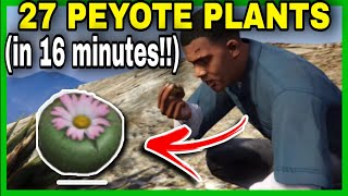 ✔️How to find all 27 Peyote Plants in GTA 5  All Peyotes Location GTA V Story Mode [upl. by Kared]