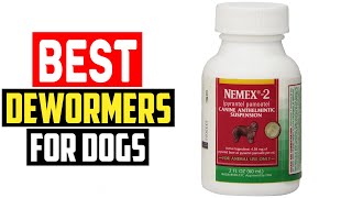 ✅ Top 5 Best Dewormers for Dogs in 2023 [upl. by Rossing]