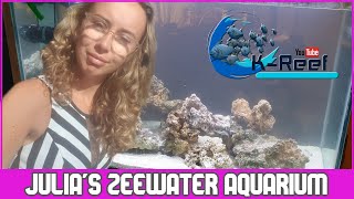 Julias zeewater aquarium [upl. by Lladnek]