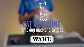 Easily Remove Mats amp Tangles from your Cats Fur 😻 [upl. by Kirsten]