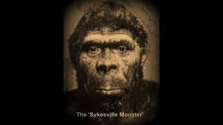 The Sykesville Monster Episode 39 [upl. by Ierbua]