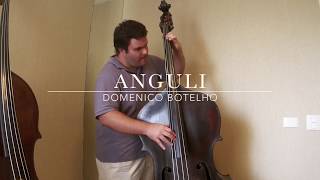 DOUBLE BASS SOLO ANGULI [upl. by Adnah]