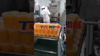 Popping boba making machine bursting boba production line package line factory real shot [upl. by Salem]