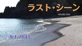 ラスト･シーン  HOUND DOG カバー かものはし [upl. by Electra475]