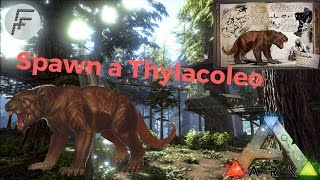 Ark Survival Evolved How to Spawn a Thylacoleo [upl. by Aronow494]