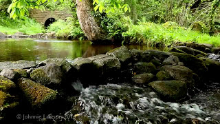 Environmental Ambient Nature Sounds  Relaxing Forest Environment Babbling Brook Water Fall Ambience [upl. by Ailes]