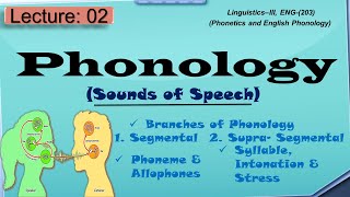 Phonology  What is phonology and its branches [upl. by Fisoi]