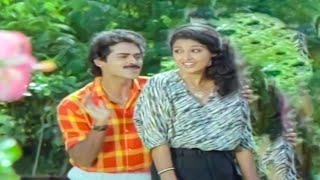 Endaka Egirevamma Video Song  Srinivasa Kalyanam Movie  Venkatesh Gautami  VolgaMusicBox [upl. by Rajewski]